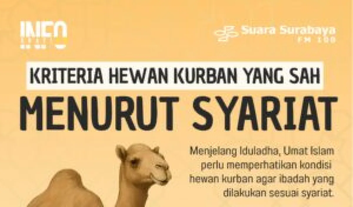 Cover Berita
