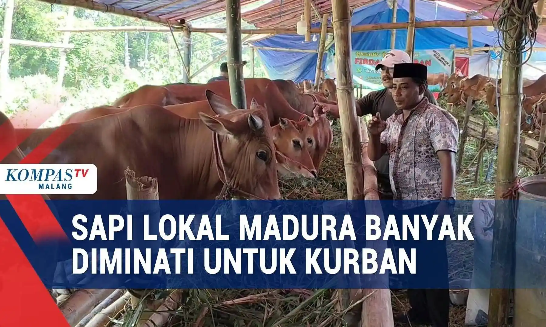 Cover Berita