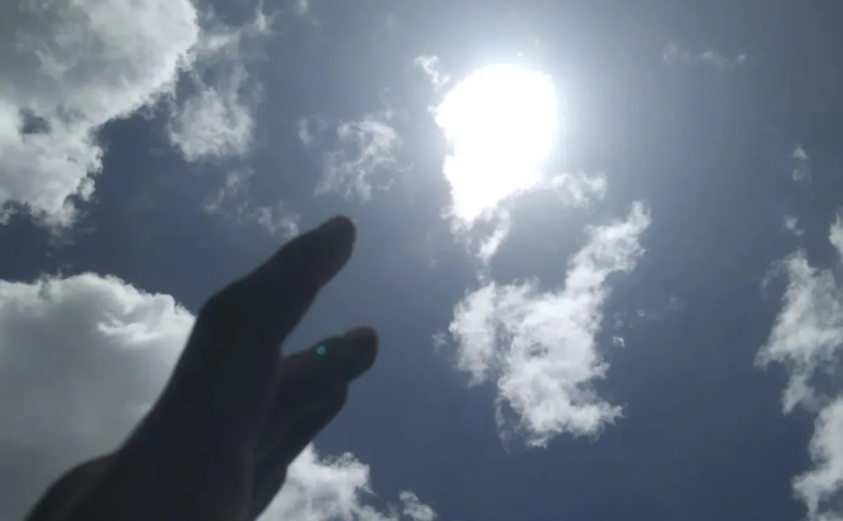 thumb