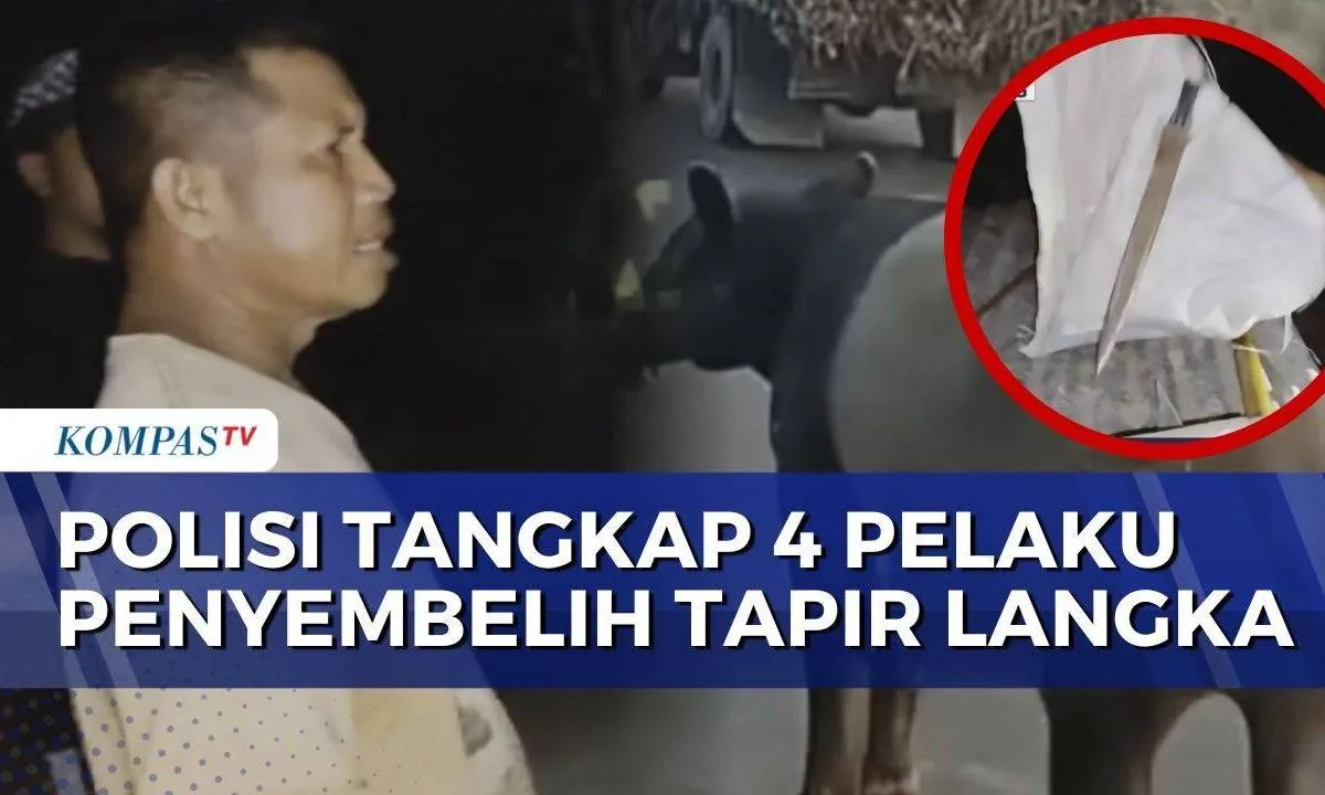 Cover Berita