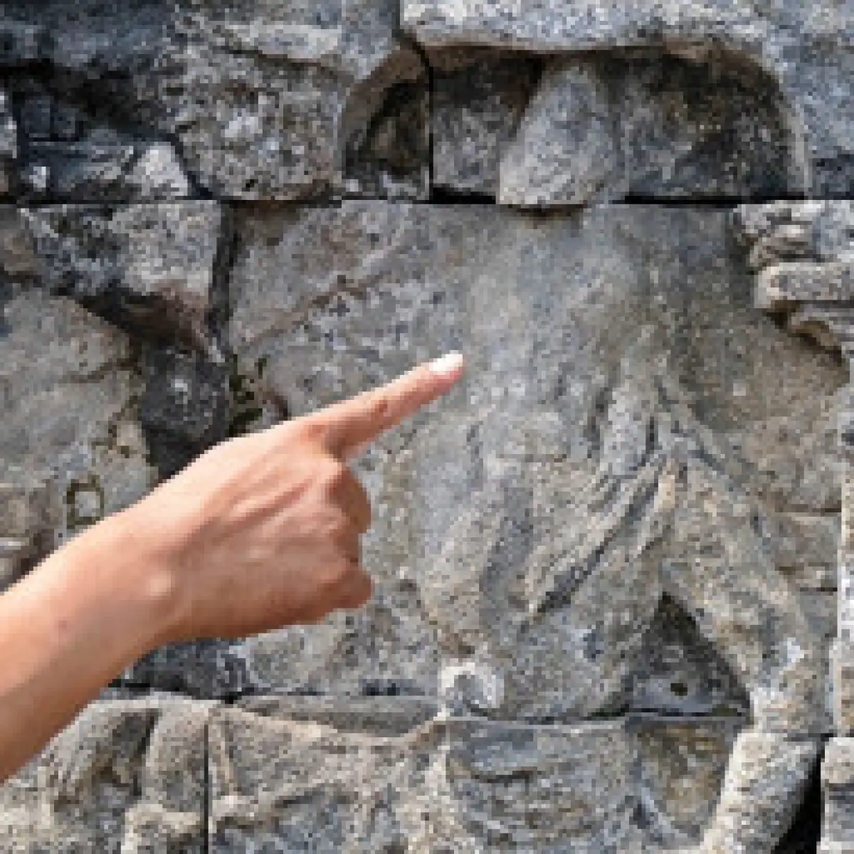 thumb