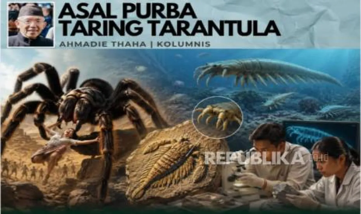 Cover Berita
