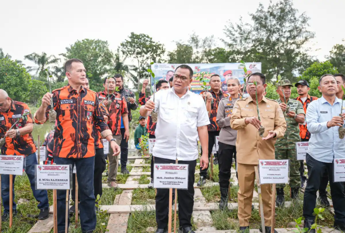 Cover Berita